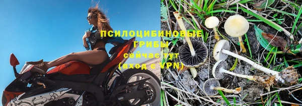 гидропоника Баксан