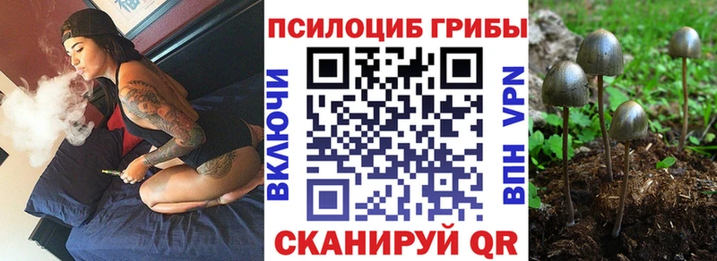 Псилоцибиновые грибы мицелий  Городище 